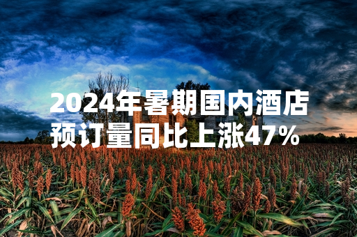 2024年暑期国内酒店预订量同比上涨47% 市场监管部门启动专项秩序排查