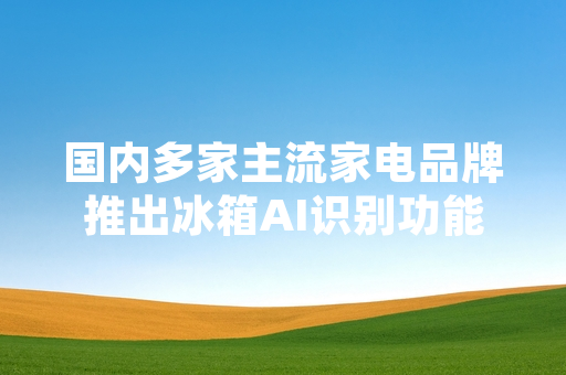 国内多家主流家电品牌推出冰箱AI识别功能 相关量产产品已进入终端销售渠道