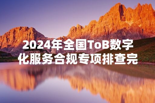 2024年全国ToB数字化服务合规专项排查完成 127家不合规服务商被清退