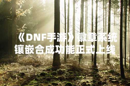 《DNF手游》徽章系统镶嵌合成功能正式上线