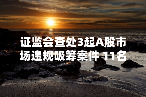 证监会查处3起A股市场违规吸筹案件 11名涉案责任人被采取市场禁入措施