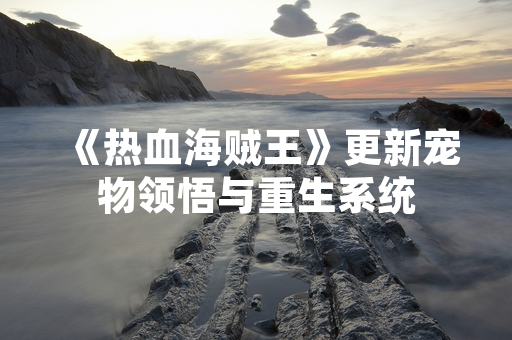 《热血海贼王》更新宠物领悟与重生系统