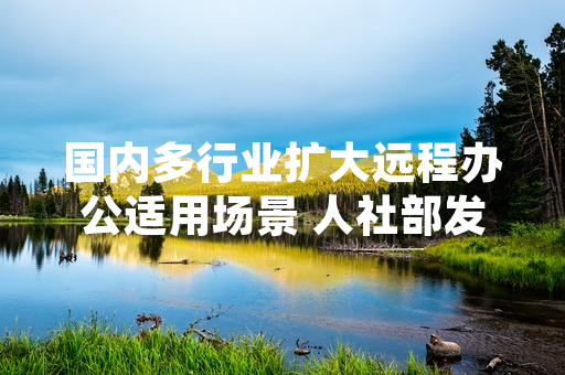 国内多行业扩大远程办公适用场景 人社部发布配套劳动权益保障规范