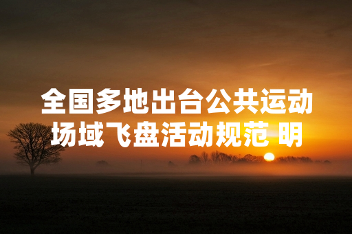 全国多地出台公共运动场域飞盘活动规范 明确场地使用权责与预约规则