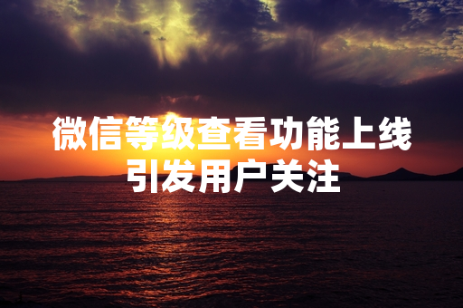 微信等级查看功能上线引发用户关注