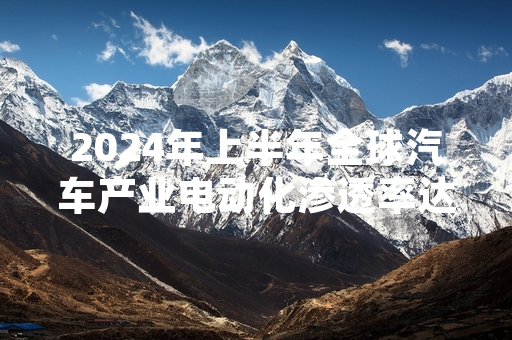 2024年上半年全球汽车产业电动化渗透率达15.6% 国际能源署发布最新统计数据