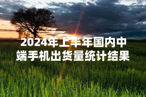 2024年上半年国内中端手机出货量统计结果发布 数据显示同比增长4.2%