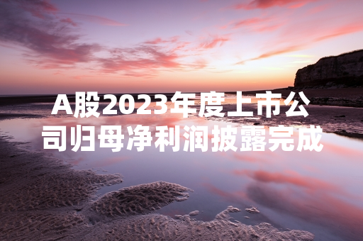 A股2023年度上市公司归母净利润披露完成 证监会完成首轮信息披露合规抽查