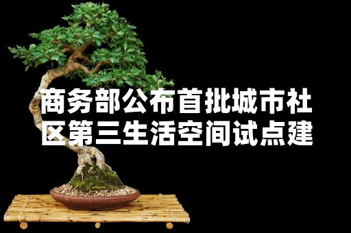 商务部公布首批城市社区第三生活空间试点建设结果 15个试点项目完成验收