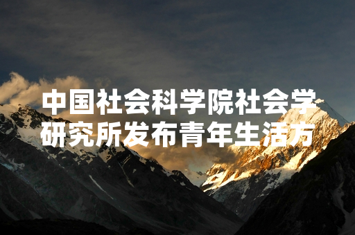 中国社会科学院社会学研究所发布青年生活方式调查 极简生活参与度核心数据公布