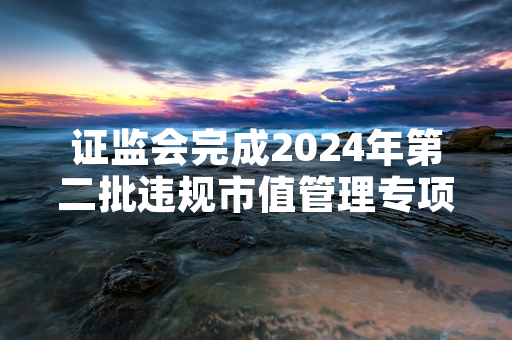 证监会完成2024年第二批违规市值管理专项核查 12家涉事主体被立案调查