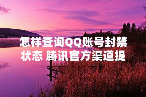 怎样查询QQ账号封禁状态 腾讯官方渠道提供明确操作指引