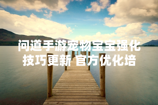 问道手游宠物宝宝强化技巧更新 官方优化培养系统稳定性