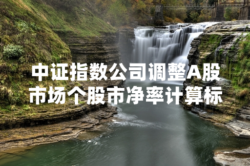 中证指数公司调整A股市场个股市净率计算标准 9月16日起正式生效