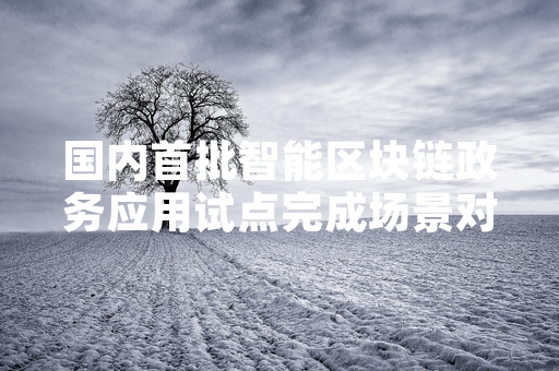 国内首批智能区块链政务应用试点完成场景对接 进入全场景压力测试阶段