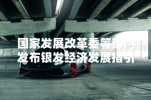 国家发展改革委等部门发布银发经济发展指引 首批适老产业扶持措施正式落地