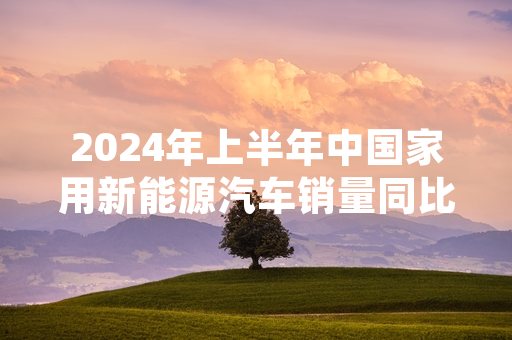 2024年上半年中国家用新能源汽车销量同比增长 中国汽车工业协会发布最新统计数据