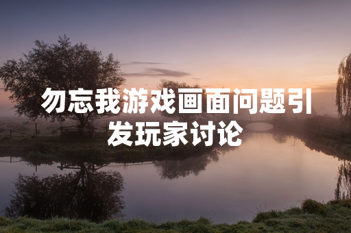 勿忘我游戏画面问题引发玩家讨论