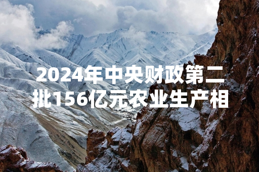 2024年中央财政第二批156亿元农业生产相关补贴拨付并启动兑付