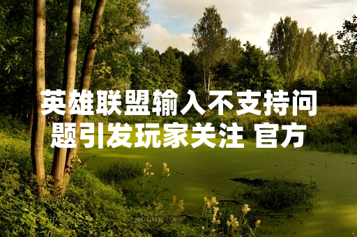 英雄联盟输入不支持问题引发玩家关注 官方发布修复公告