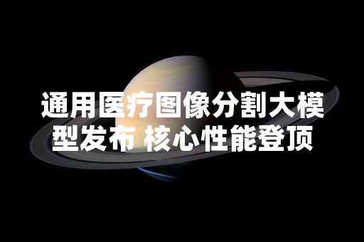 通用医疗图像分割大模型发布 核心性能登顶国际权威测评榜单