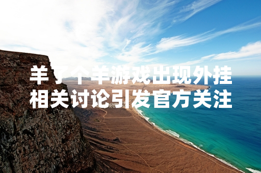 羊了个羊游戏出现外挂相关讨论引发官方关注