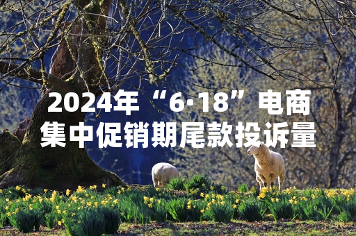 2024年“6·18”电商集中促销期尾款投诉量同比上升 市场监管总局部署专项核查