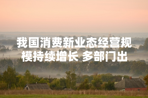 我国消费新业态经营规模持续增长 多部门出台支持规范发展举措