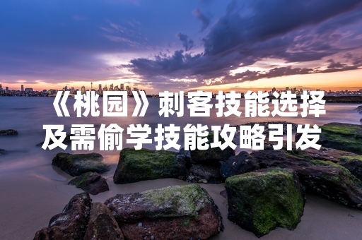 《桃园》刺客技能选择及需偷学技能攻略引发玩家热议
