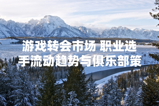 游戏转会市场 职业选手流动趋势与俱乐部策略分析
