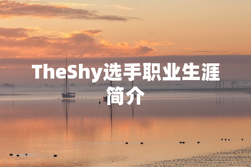 TheShy选手职业生涯简介