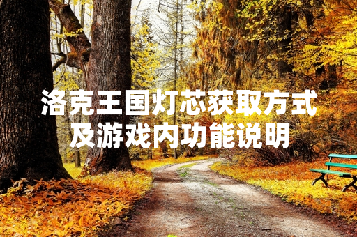 洛克王国灯芯获取方式及游戏内功能说明
