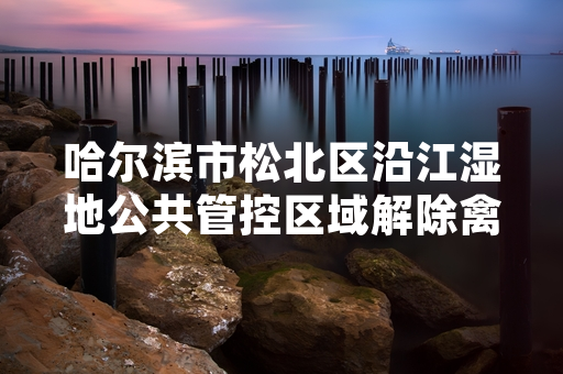 哈尔滨市松北区沿江湿地公共管控区域解除禽流感防控临时封禁