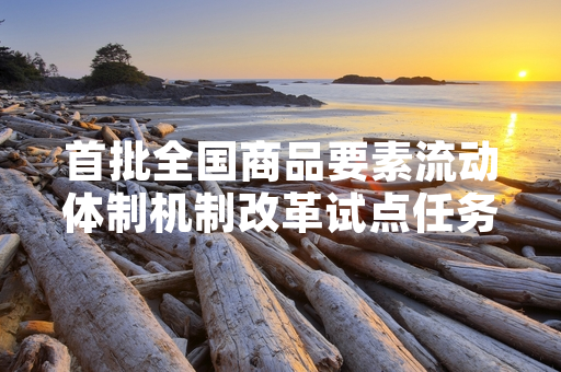 首批全国商品要素流动体制机制改革试点任务完成过半 限制性政策清理工作按计划推进