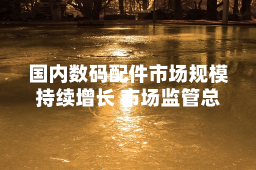 国内数码配件市场规模持续增长 市场监管总局启动流通领域质量专项抽检