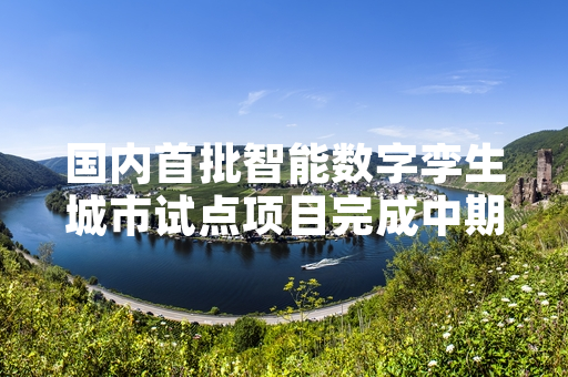 国内首批智能数字孪生城市试点项目完成中期阶段性验收