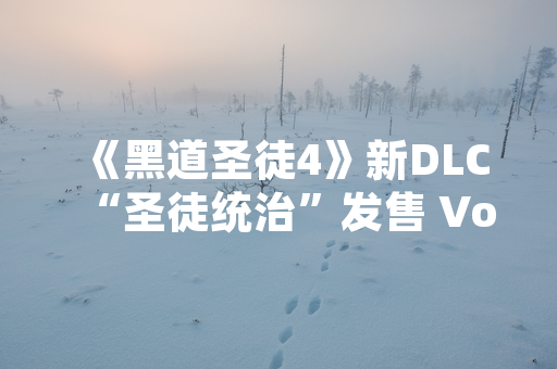 《黑道圣徒4》新DLC“圣徒统治”发售 Volition工作室追加剧情内容