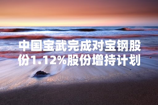 中国宝武完成对宝钢股份1.12%股份增持计划