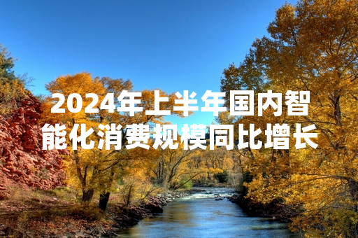 2024年上半年国内智能化消费规模同比增长 国家统计局发布官方统计数据