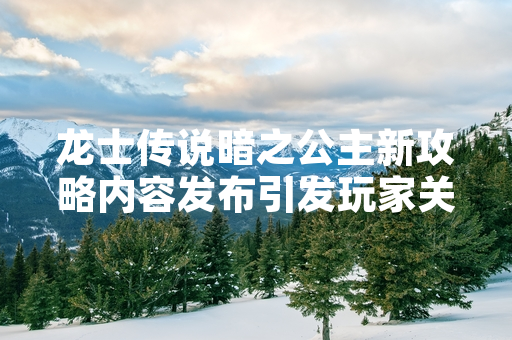 龙士传说暗之公主新攻略内容发布引发玩家关注
