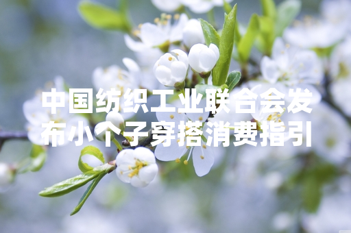 中国纺织工业联合会发布小个子穿搭消费指引 明确相关内容及商品合规标准