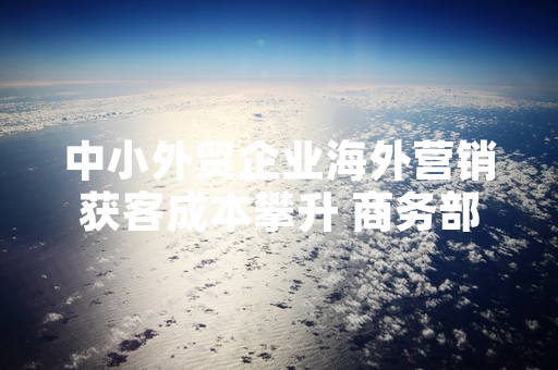 中小外贸企业海外营销获客成本攀升 商务部启动专项扶持行动