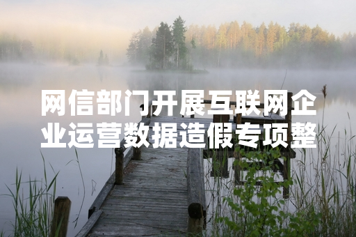 网信部门开展互联网企业运营数据造假专项整治 重点核查DAU等核心运营指标