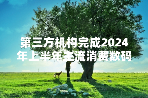第三方机构完成2024年上半年主流消费数码产品性能测评 结果正式对外公开