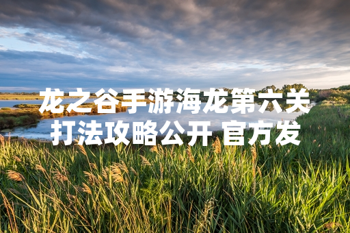 龙之谷手游海龙第六关打法攻略公开 官方发布详细通关指南