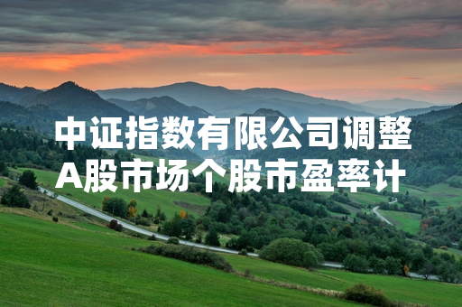 中证指数有限公司调整A股市场个股市盈率计算口径 9月16日起正式生效