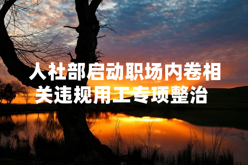 人社部启动职场内卷相关违规用工专项整治 首批8省市整改工作已完成