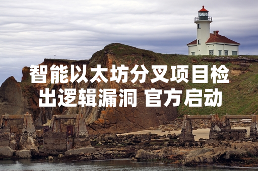 智能以太坊分叉项目检出逻辑漏洞 官方启动资产冻结与修复工作
