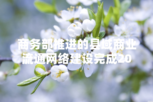 商务部推进的县域商业流通网络建设完成2023年度既定任务