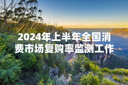 2024年上半年全国消费市场复购率监测工作完成 官方汇总数据正式对外发布